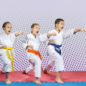 Martial Arts Lessons for Kids in Flushing NY - Punching Focus Kids Sync